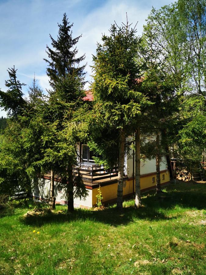 Wojtowka 16 Villa Lądek-Zdrój Kültér fotó