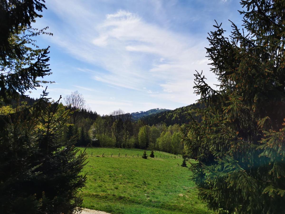 Wojtowka 16 Villa Lądek-Zdrój Kültér fotó