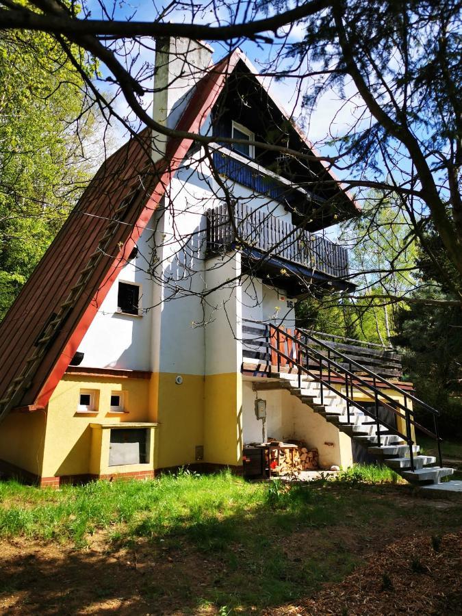 Wojtowka 16 Villa Lądek-Zdrój Kültér fotó