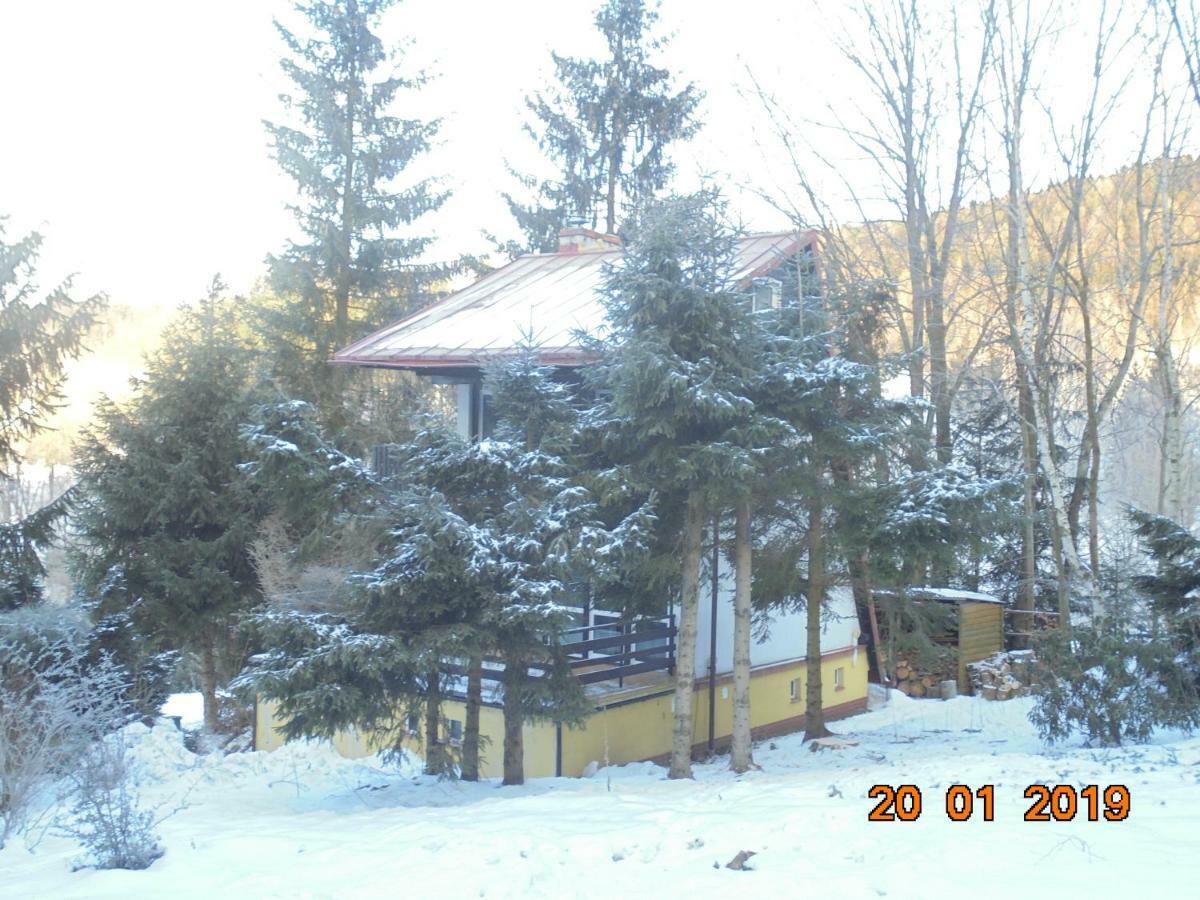 Wojtowka 16 Villa Lądek-Zdrój Kültér fotó