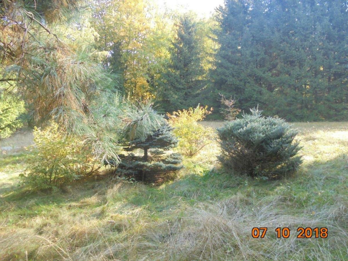 Wojtowka 16 Villa Lądek-Zdrój Kültér fotó
