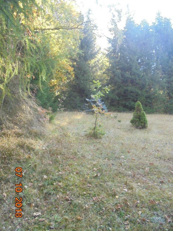 Wojtowka 16 Villa Lądek-Zdrój Kültér fotó